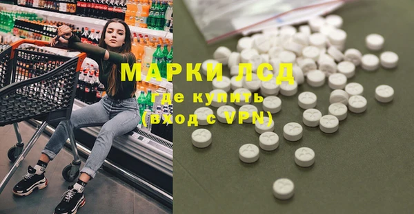 стаф Беломорск