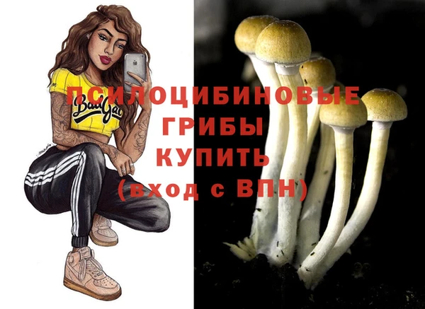 амф Балахна