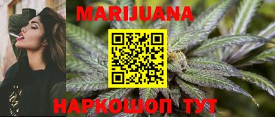 Альфа ПВП Камышлов