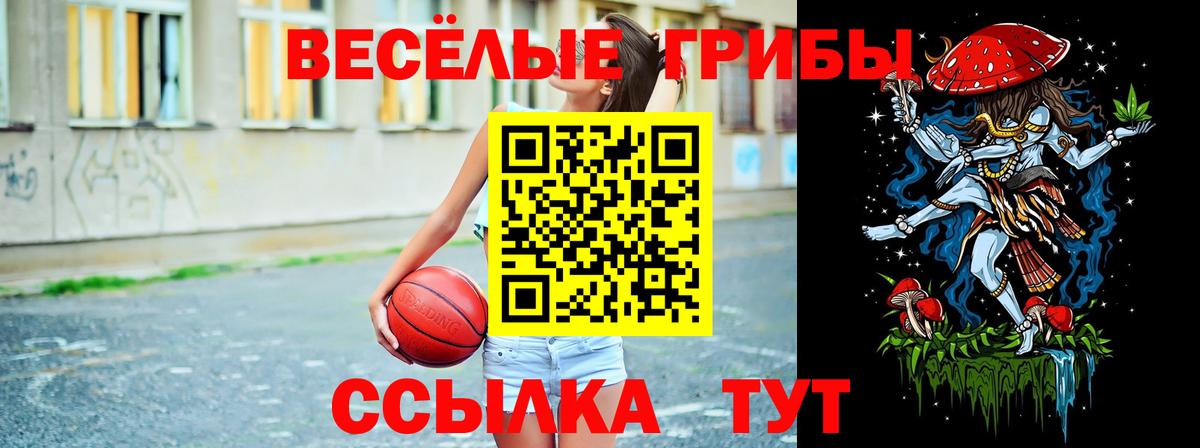 Псилоцибиновые грибы Psilocybine cubensis  Галлюциногенные грибы ЛСД  Вход с VPN  Краснокаменск 